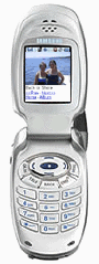 Cellulare.gif (19597 byte)