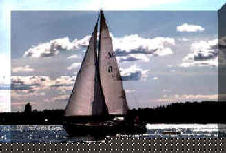 On the Sea  (Foto N. De Gregorio)