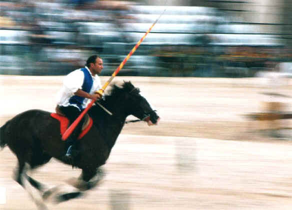 Foto di Nicola De Gregorio